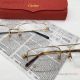 Clone Cartier Santos Eyewear Double bridge CT0066O (6)_th.jpg